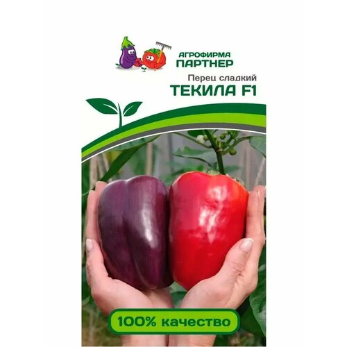 ���� ������ ����� �������� 