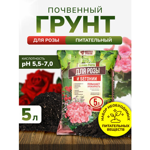 ���� ����� ��� ��� � �������, ����� ��� ������ ��������� 5 ������, ����������, InHome Green, ������ �� 603 ���