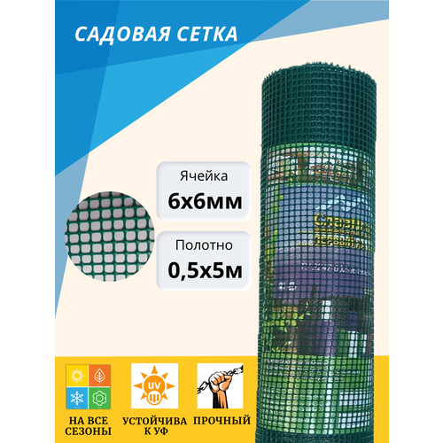 ���� ����� ����������� ������ 6*6 �� ������ ������ 50 �� ����� 5 � �����-�������, ������ �� 950 ���