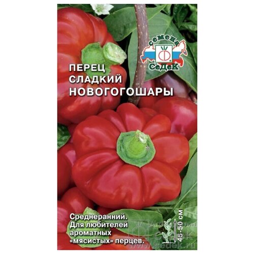 ���� ������ ����� �������� 