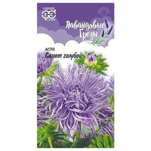 ���� ������. ����� ���������� 