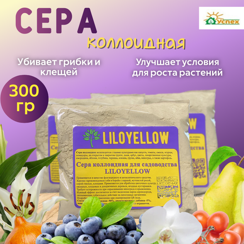 ���� ���� ���������� ��������� �� ��� ������ ���� �� ��������� �����, 300��, ������ �� 440 ���