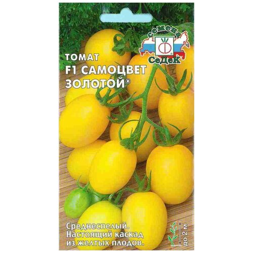 ���� ����� F1 �������� �������, ������ �� 53 ���