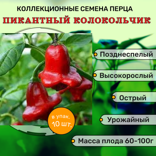 ���� ������������� ������ ����� ������� F1 ��������� �����������, ������ �� 127 ���