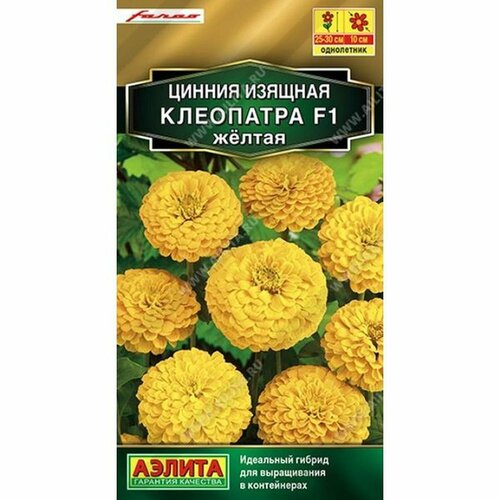     F1 , , () 12  ,   53 