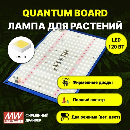 ���� ���������� ��� ��������/ ������� ���� 120 ����/ ����� LM-301/ ������ ������, ������ �� 13988 ���