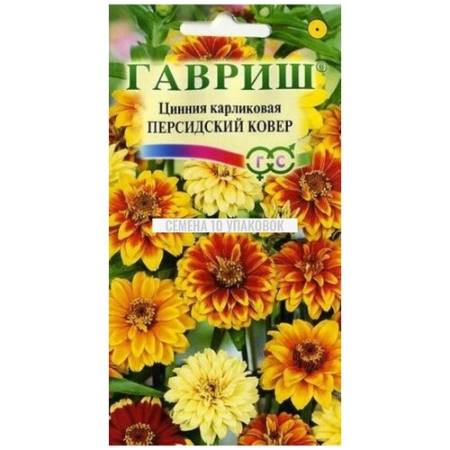 ���� ������ ���������� �����, ������ ������ ( 1 ��: 0,3 � ), ������ �� 300 ���