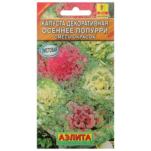 ���� ������ ������ ������� ������������ 