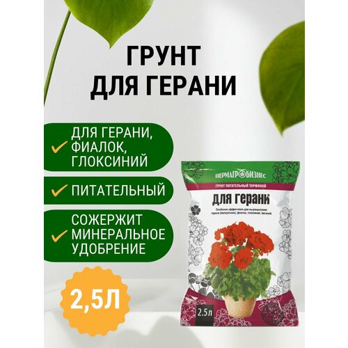 ���� ����� ��� ������ 2,5 �, ������ �� 269 ���