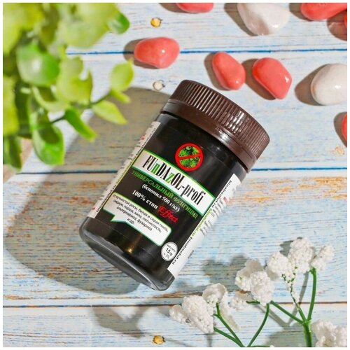 ���� �������� �������� 