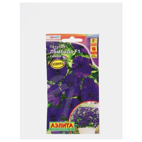 ���� ������. ������� �������������� 