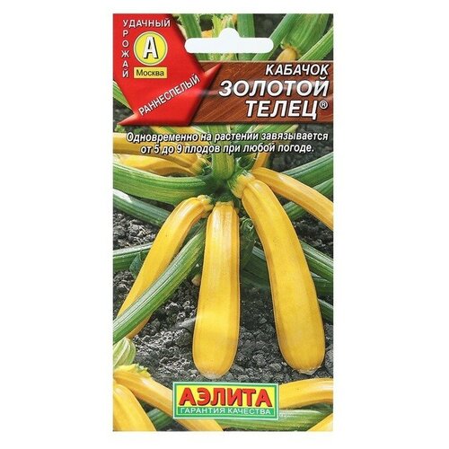 ���� ������ ������� ������� ������� �����, 2 �, ������ �� 45 ���