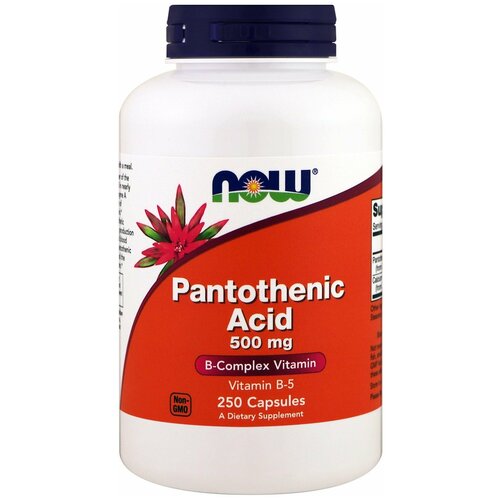  Pantothenic Acid ., 500 , 400 , 240 , 250 .   -     , -, 