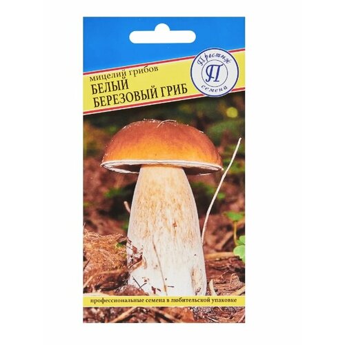 ���� ������� ������ ����� ���� ��������� ������� 15 �����, ������ �� 543 ���