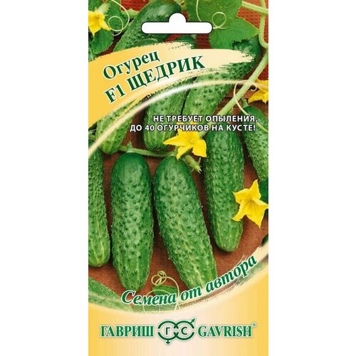 ���� ������ ������ F1 10�� ������, ������ �� 509 ���