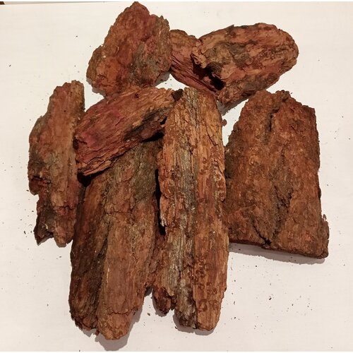     10-30 , , 1  8 ,   1950 