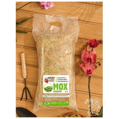 ���� ��� ������� ������� ������� ������ ������������, 5 �, 0.09 ��, ������ �� 535 ���