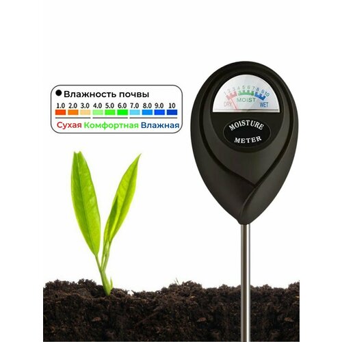 ���� ������ ��������� ����� ���������� ������, ������ �� 850 ���