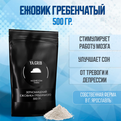 ���� ������ ����������� (������). �������. �������� ����. ������� 500 �., ������ �� 2504 ���