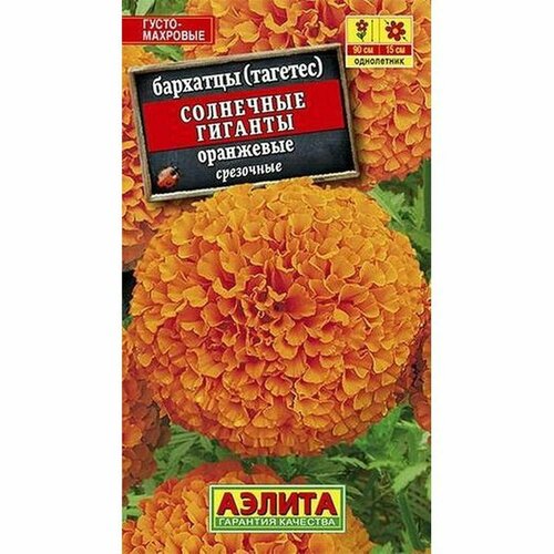 ���� ������ �������� ��������� ������� ���������, ��. (����������) (������) 0,3�, ������ �� 41 ���