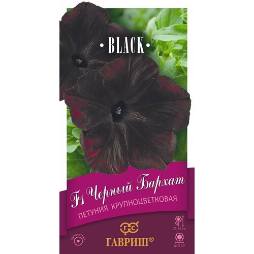      F1  4  35 () ,   146 