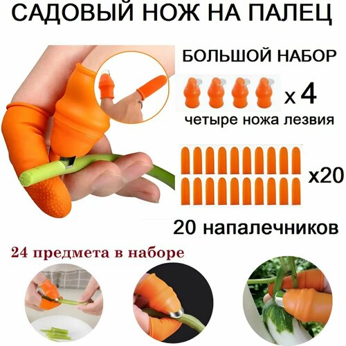 ���� ����������� ������� ���������� � ������� �� ����������� ����� ��� ���� � �������, ������� ���������� ��� ������ � ������, ������ �� 595 ���