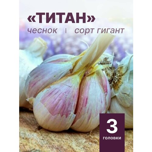 ���� ���������� ������ ����� �� ������� 3 �������, ������ �� 950 ���