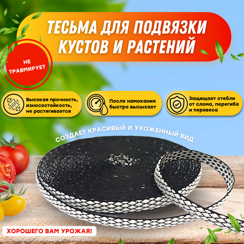 ���� ������, ����� ��� �������� ������ � �������� Raccoonya 10��-100�, ������ �� 600 ���