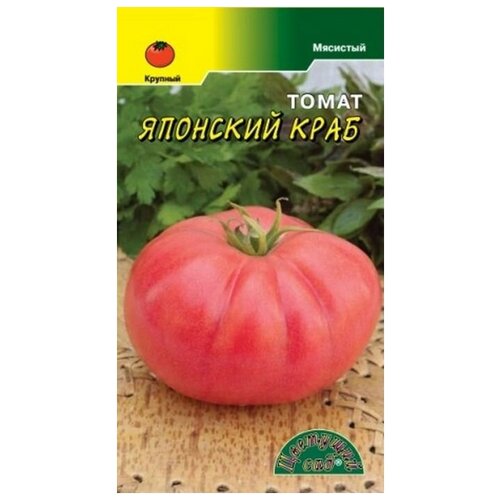 ���� ������ �������� ��� 