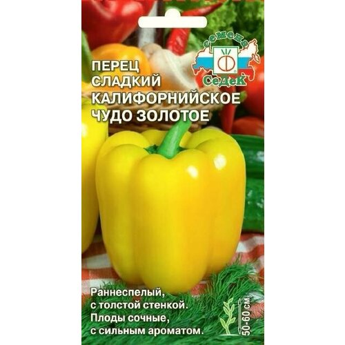 ���� ������ ����� �������������� ���� ������� - �����, ������ �� 41 ���