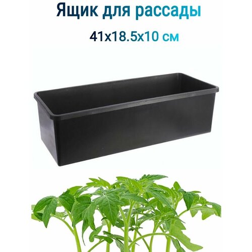 ���� ���� ��� ������� 41�18,5�10�� 