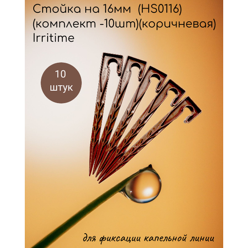    16 (HS0116)( -10)() Irritime   -     , -, 