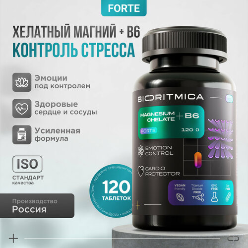     +  6 FORTE,  ,120 , ,   880 