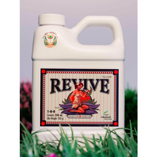 ���� ���������� AN Revive 500 ��, ������ �� 2380 ���