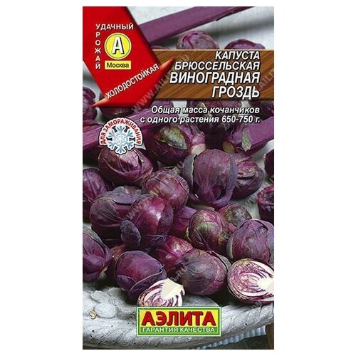 ���� ������. ������� ������������ 