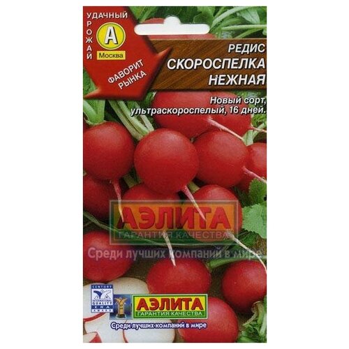 ���� ������. ����� 