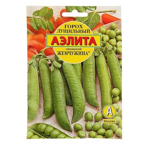 ���� ������ ������ ����� 