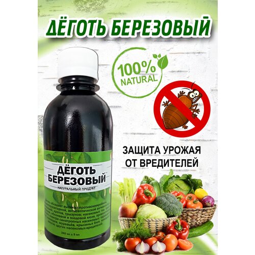 ���� �������� ��� ������ �������� ��� ����, �� ��������, ���������, ������, �����-����, ������ ���������, 240 ��., ������ �� 450 ���