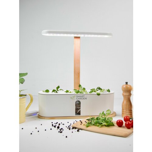 ���� ����� ��� � ���������� ��� �������� � �������� ������, ���������� ������� �����, �������� ����� ���, �����������, ������ �� 7790 ���