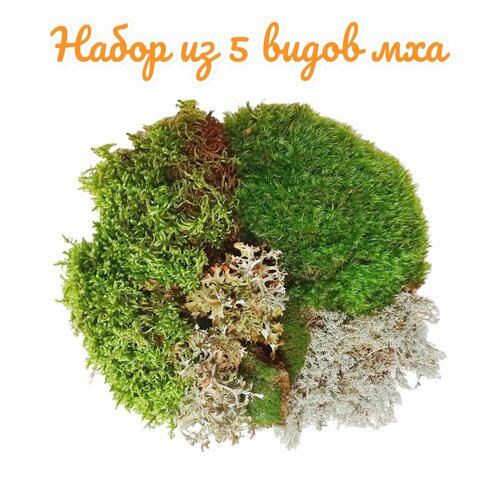    5  .  , , , , .  .,   1886 