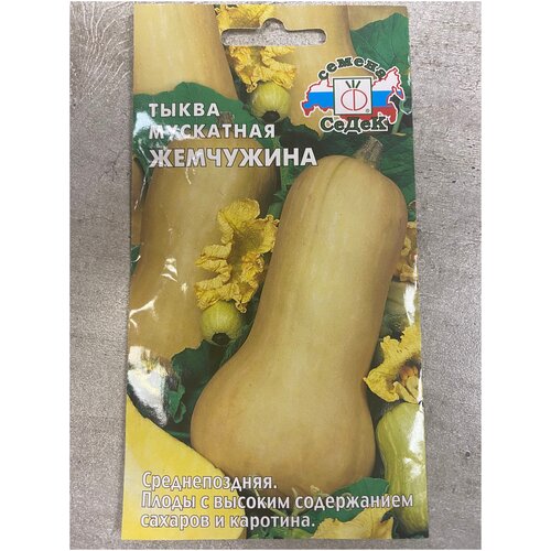 ���� ����� ��������� ���������, ������ �� 55 ���