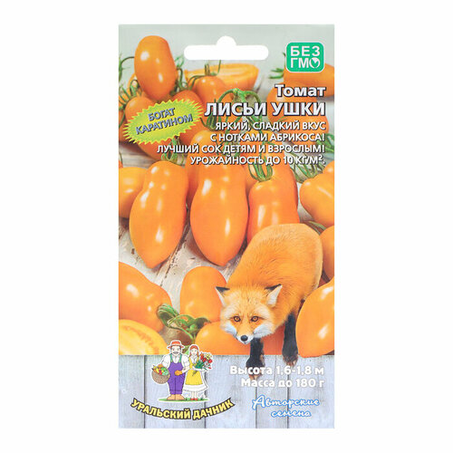 ���� ������ ����� 