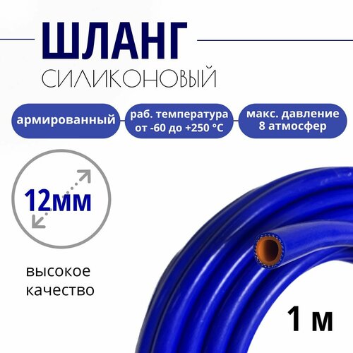 ���� ����� (�����) ����������� ������������ �������������, 12�� - 1 ����., ������ �� 600 ���