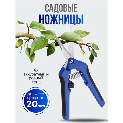 ���� ������� ������� ��� ������ � ������, ������� ��� ��� � ������� ��������, ������ �� 229 ���