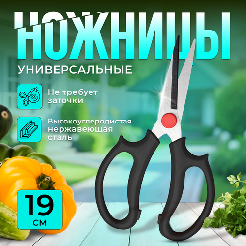 ���� ������� ������� ������������� NM HOME, ��� �������� ������ � ��������, ������ �� 629 ���