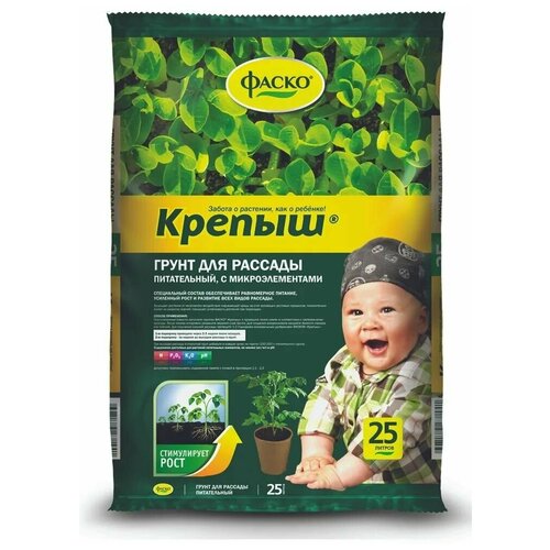 ���� ����� ��� ������� �����