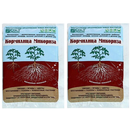 ���� ��������� 