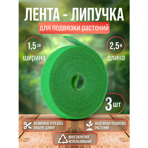 ���� �����-������� ������� ��� �������� �������� | 3 ������ �� 2,5 ����� | ������ ����� 1,5 ��., ������ �� 530 ���