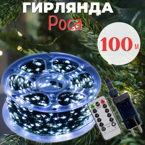 ���� �������� ���� � ������� � ������� ���������� 100 �, ������� ������, ����� ����, ������ �� 1520 ���