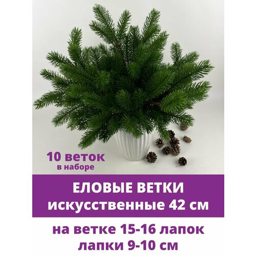 ���� ������ ����� ������������� ������������, 16 �����, 42 ��, ����� 10 �����, ������ �� 1705 ���